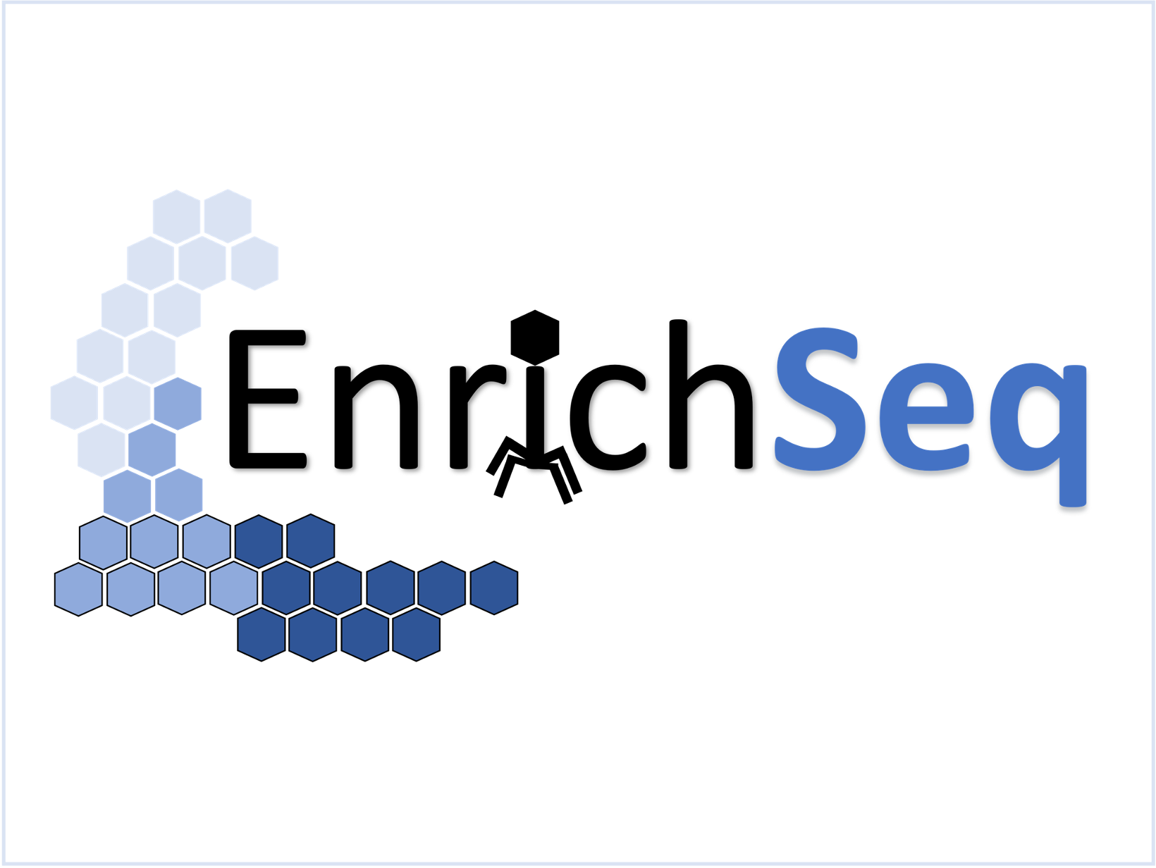 EnrichSeq